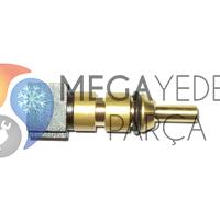 Kombİ Eca Eurostar Ntc